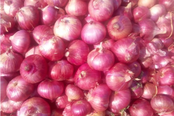Работает ли сайт кракен onion top